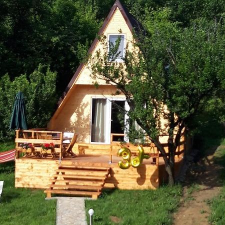 Cabana Din Livada Pucioasa Kültér fotó