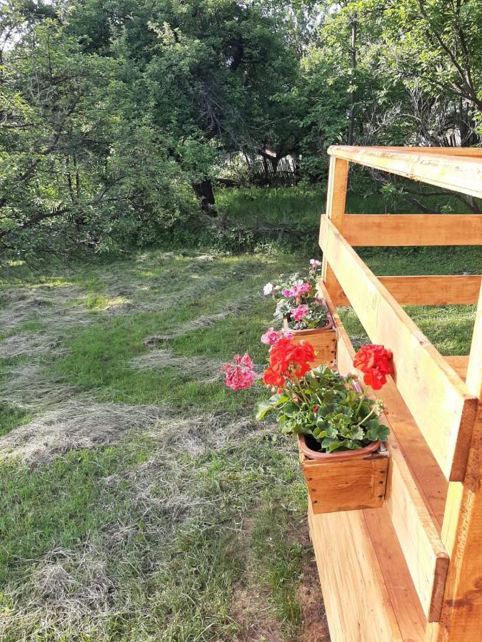 Cabana Din Livada Pucioasa Kültér fotó